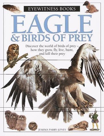 Cover of Eagle & Birds of Prey