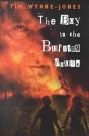 Cover of The boy in the burning house