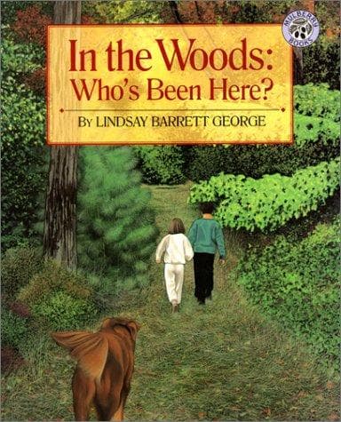 Cover of In the Woods