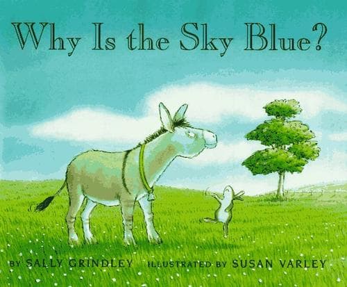 Cover of Why is the sky blue?