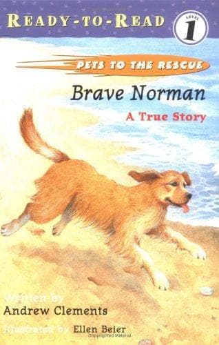 Cover of Brave Norman