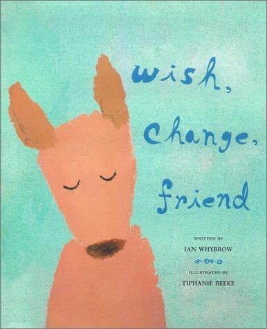 Cover of Wish, change, friend