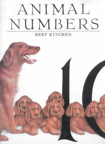 Cover of Animal numbers
