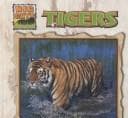Cover of Big Cats (6 Volume Set)