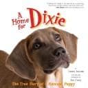 Cover of A home for Dixie