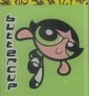 Cover of Buttercup Key Chain Book