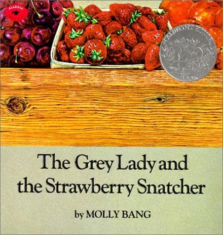 Cover of The grey lady and the strawberry snatcher