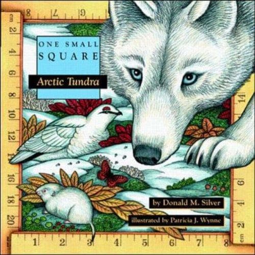 Cover of Arctic Tundra