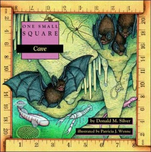 Cover of Cave
