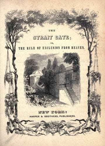 Cover of The strait gate