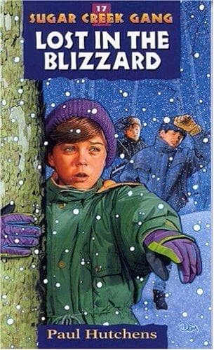 Cover of Lost in the blizzard