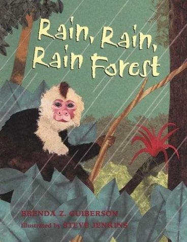 Cover of Rain, Rain, Rain Forest