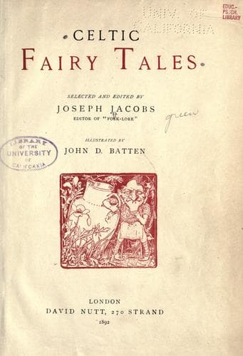 Cover of Celtic Fairy Tales