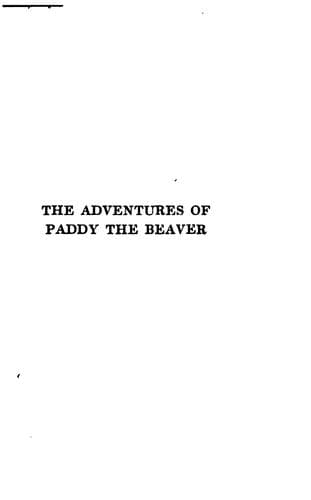 Cover of The adventures of Paddy Beaver