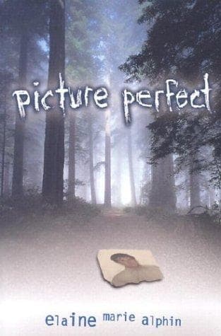 Cover of Picture Perfect