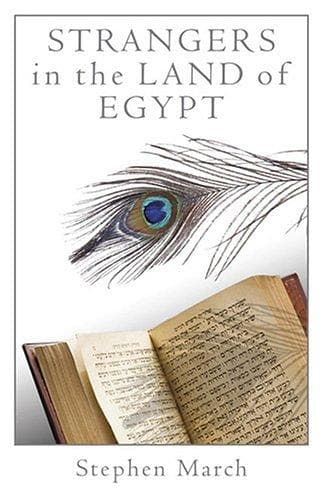 Cover of Strangers in the land of Egypt