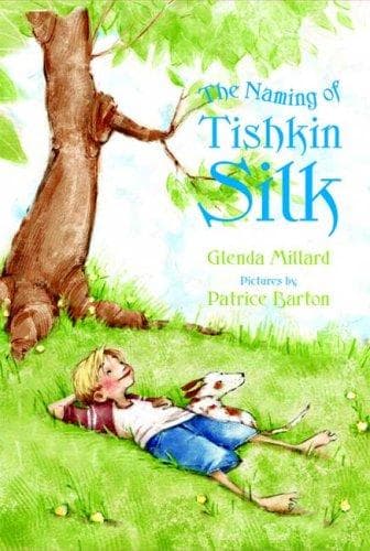 Cover of The naming of Tishkin Silk