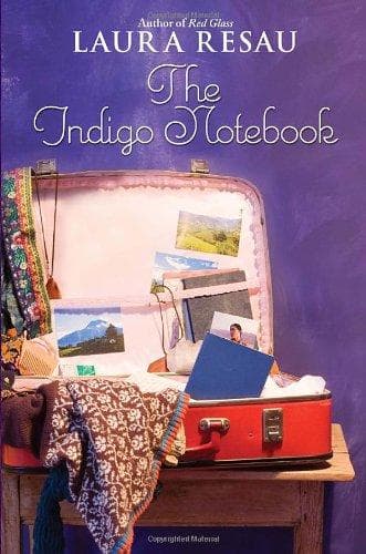 Cover of The Indigo Notebook