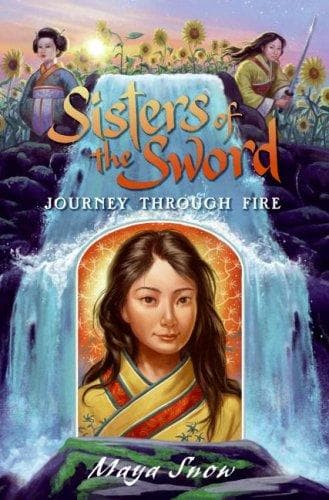 Cover of Journey through fire
