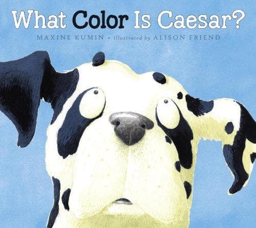 Cover of What color is Caesar?