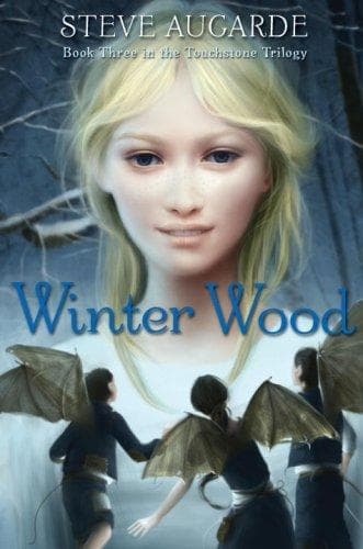Cover of Winter Wood (The Touchstone Trilogy #3)
