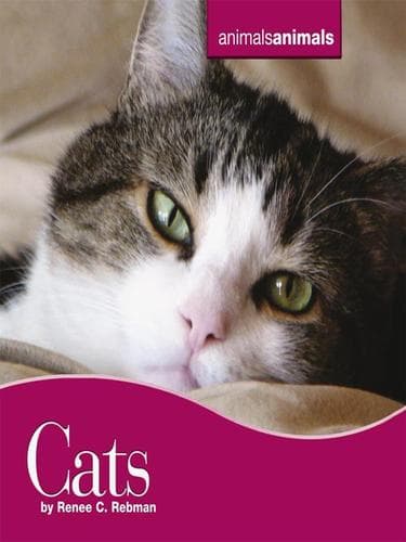 Cover of Cats