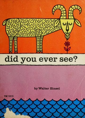 Cover of Did You Ever See?