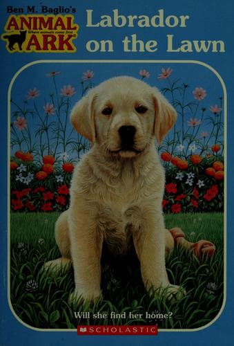 Cover of Labrador on the lawn