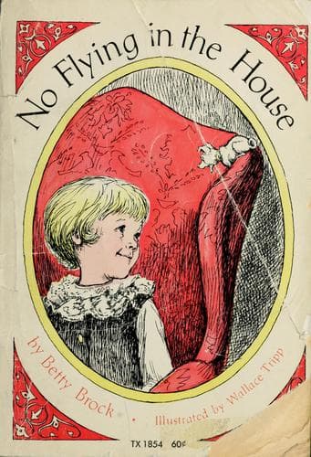 Cover of No flying in the house