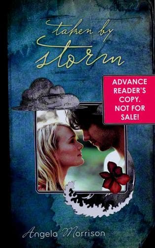 Cover of Taken by storm
