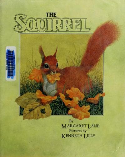 Cover of The squirrel