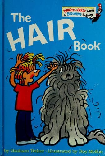 Cover of The hair book