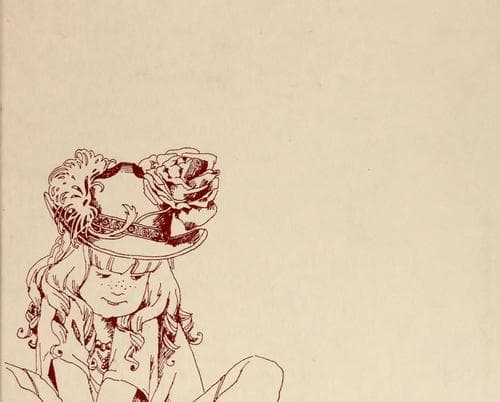 Cover of Megan's Two Houses