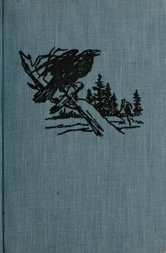 Cover of Pirate rock