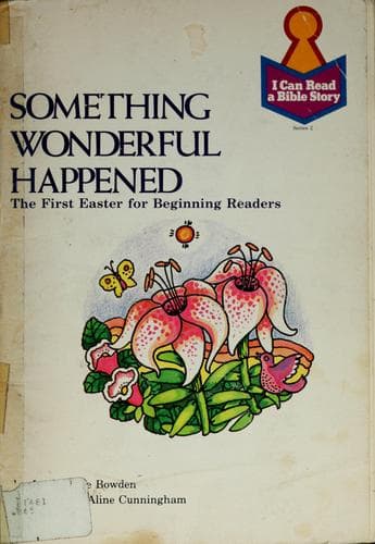 Cover of Something wonderful happened