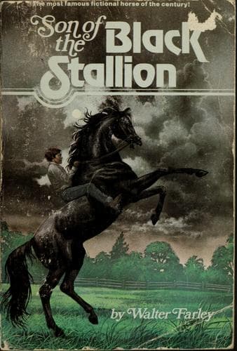 Cover of Son of the Black Stallion