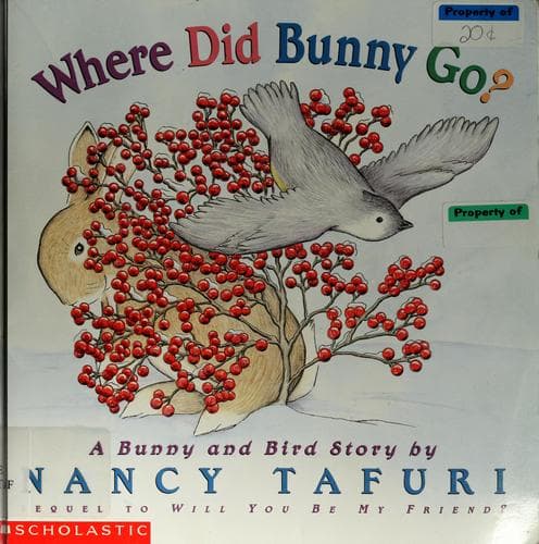 Cover of Where did Bunny go?