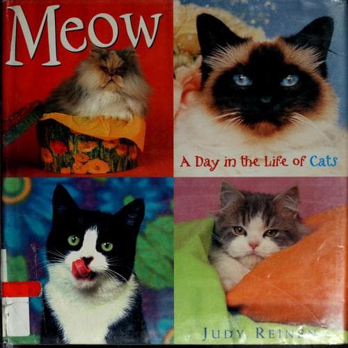 Cover of Meow