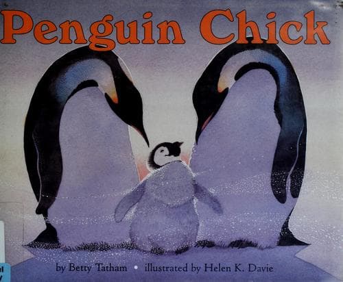 Cover of Penguin chick