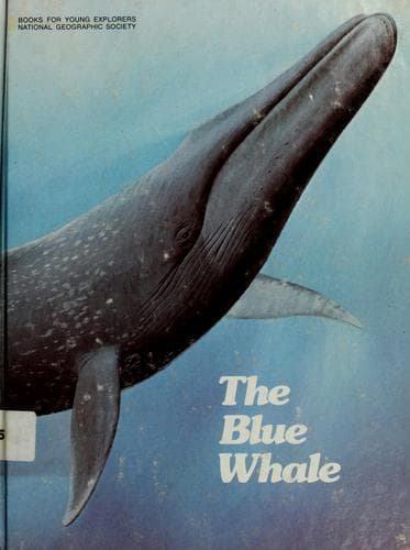 Cover of The blue whale