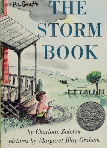 Cover of The storm book