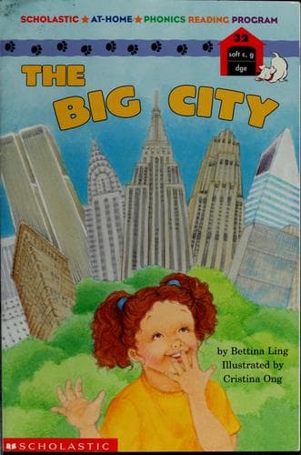 Cover of The big city