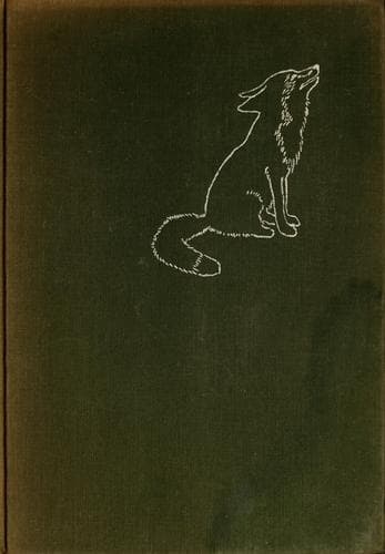 Cover of Vixie, the story of a little fox