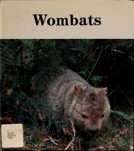 Cover of Wombats