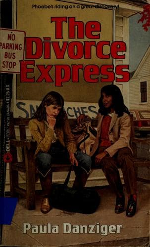 Cover of The Divorce Express