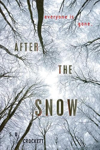 Cover of After the snow