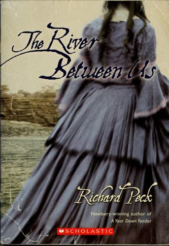 Cover of The river between us