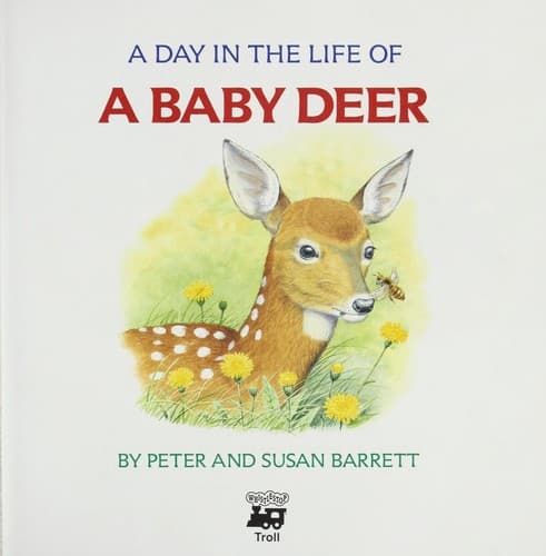 Cover of A day in the life of a baby deer