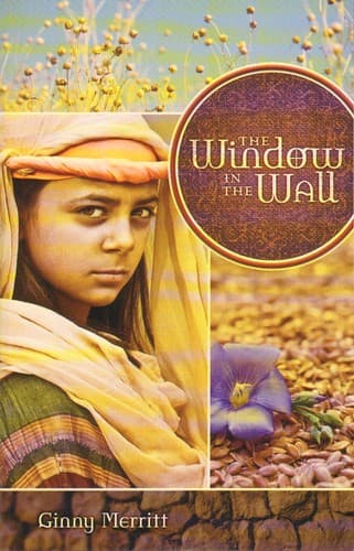 Cover of The Window in the Wall