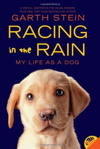 Cover of Racing in the rain